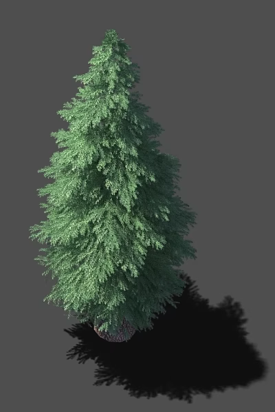 Tall Evergreen Arbor with Lush Green Foliage and Dense Branches Against Gray Background 3d model