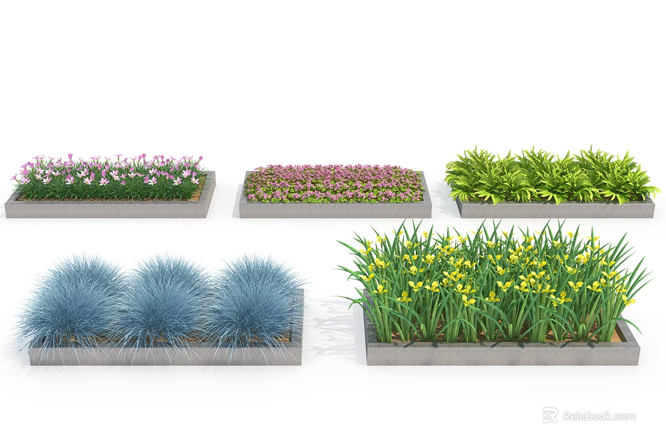 Blue Green And Yellow Flowering Shrubs In Rectangular Garden Planter Boxes 3d model