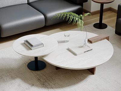 Modern Round Coffee Table With White Marble Top Black Base Green Plant Books And Glass 3d model