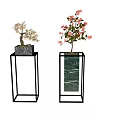 Bonsai Trees On Black Metal Stands With Woven And Green Marble Pots White Pink Flowers