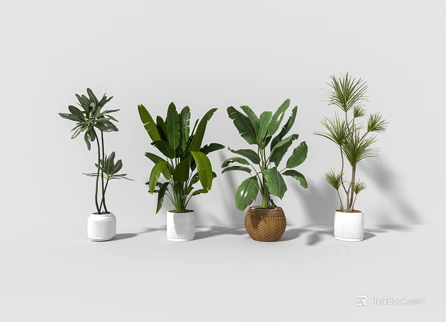 Decorative Indoor Plant Arrangement With Various Greenery In White And Brown Pots 3d model 
