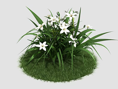 Beautiful White Flowers With Green Long Leaves In Natural Fresh Grass 3d model