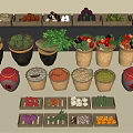 Fresh Assorted Vegetables Displayed in Baskets Clay Pots and Wooden Trays with Colorful Varieties