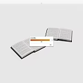 Two Open Books With Text Pages On Clean White Background 3d model