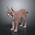3D Lynx Model with Pink Fur and Spots Standing on Dark Background Open Mouth