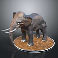 Realistic Detailed Elephant Model With Long Tusks On Circular Earth Base