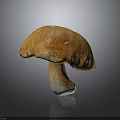 Fresh Edible Mushroom With Rounded Brown Cap And Firm Stem For Cooking Ingredients