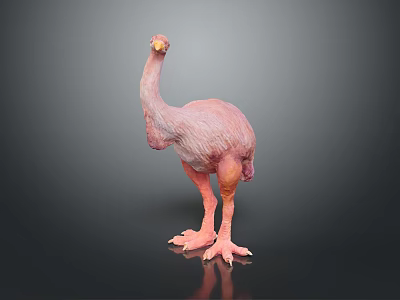 Realistic Pink Flying Bird Model Standing on Black Background with Reflection 3d model