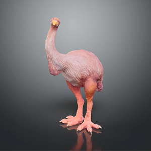 Ostrich bird animal game animal cartoon animal pbr animal 3d model