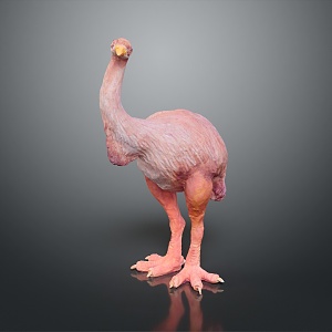 Ostrich bird animal game animal cartoon animal pbr animal 3d model