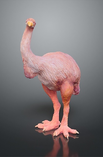 Ostrich bird animal game animal cartoon animal pbr animal 3d model