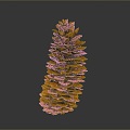 Pine cone plant game item 3d model