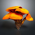 Modern mushroom straw mushroom poisonous mushroom plant 3d model