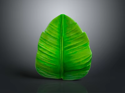 Green Banana Leaf with Vibrant Color and Visible Veins on Dark Background 3d model