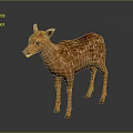 Cute Brown Fawn With White Spots Standing On Gray Background With Reflection