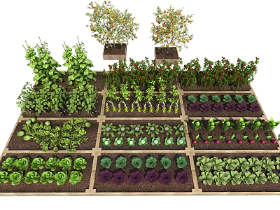 Modern vegetable garden 3d model