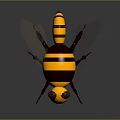 Yellow And Black Bee 3D Model As Flying Insect With Striped Body And Transparent Wings