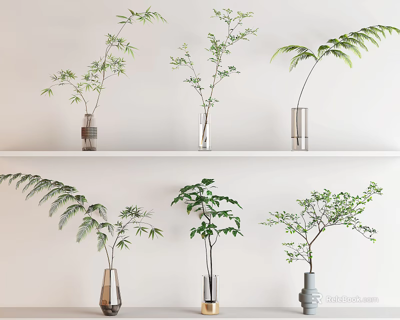 Decorative Vases With Lush Green Plants On White Display Shelf 3d model 
