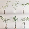 Decorative Vases With Lush Green Plants On White Display Shelf