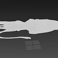 Brown Squid With Elongated Tentacles And Detailed Body On Black Background