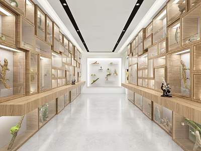 Spacious Bright Exhibition Hall With Neatly Arranged Wooden Display Cabinets And Exhibits 3d model