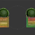 Green Spherical Topiary Plants in Colorful Wooden Boxes for Decorative