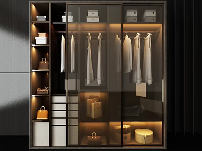 Modern Wardrobe Interior Design With Glass Doors Hanging Shirts Drawers LED Lighting and Storage Compartments 3d model