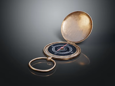 Vintage Golden Compass Decorative Ornament Set With Open Case And Ring Handle 3d model