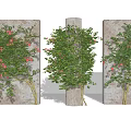 Vines with Lush Green Leaves and Red Flowers Climbing Stone Wall and Pillar