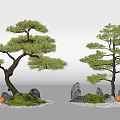 Two Decorative Arbor Trees In Bonsai Style With Stones Moss And Green Foliage