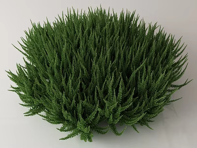 Lush Vibrant Green Bush With Dense Leafy Foliage For Garden Landscape 3d model