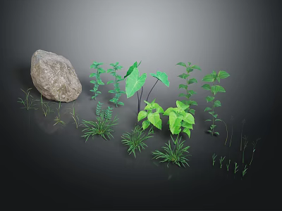 Various Green Plants With Different Leaf Shapes And Varying Heights Near Large Rock 3d model