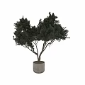 Lush Green Potted Tree Garden Decor with Cylindrical Planter and Dense Foliage