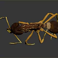 Detailed 3D Rendered Ant With Red Yellow Body And Long Yellow Legs