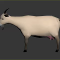 3D Goat Model With Light Beige Body Black Horns And White Face