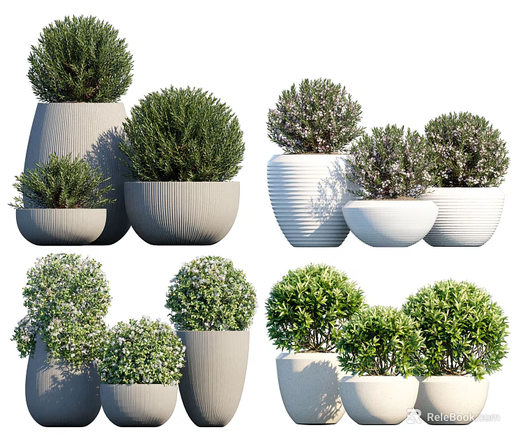 Various Bonsai Plants in Decorative Ceramic Pots for Indoor Home Decor 3d model 