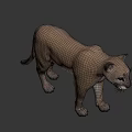 Standing Puma 3D Render With Light Brown Fur On Dark Background 3d model