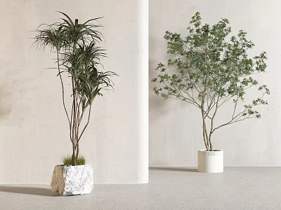 Luxury Shower Sauna Environment With Green Plants And Minimalist Design Elements 3d model