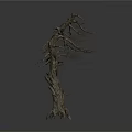 Dry Tree with Rough Trunk and Leafless Branches Standing Against White Background