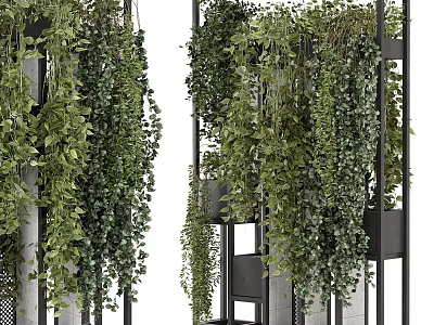 Modern Gardening Sketches ampelous Plants Ivy Flower Pot Grass 3d model