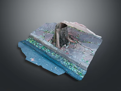 Natural Scene With Old Tree Stump Stone Pavement Green Plants And Blue Water 3d model