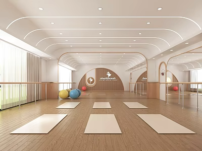 FitnessLab Bright Indoor Yoga Workout Space With Wooden Floor Yoga Mats And Colorful Fitness Balls 3d model
