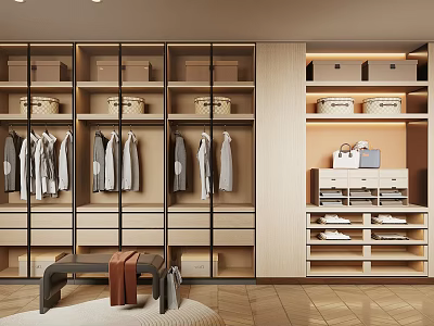 Modern Walk in Closet Design with Hanging Clothes Cabinets Baskets and Drawers 3d model