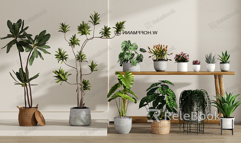 Modern Green Plant Potted Plant Combination model