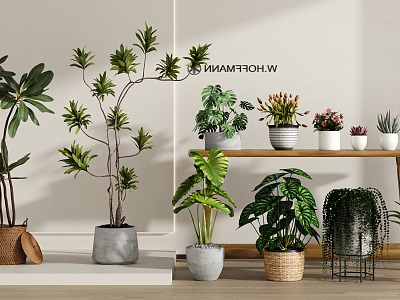 Modern Green Plant Potted Plant Combination model