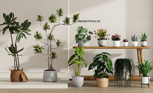 Modern Green Plant Potted Plant Combination 3d model