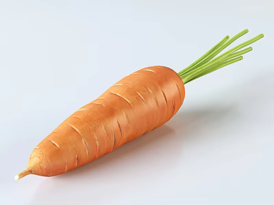 Healthy Fresh Orange Carrot with Green Leafy Tops on White Background 3d model
