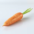 Healthy Fresh Orange Carrot with Green Leafy Tops on White Background