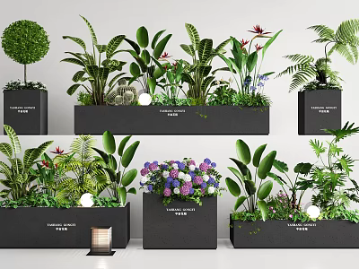 Lush Plant Combinations With Diverse Greenery In Black Rectangular Planters And Ornamental Details 3d model