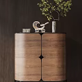Modern Wooden Console Cabinet With Walnut Finish And Decorative Vase Plant Near Window